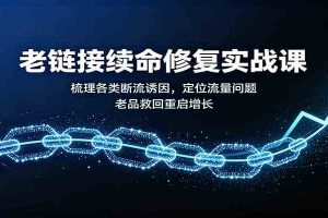 老链接续命修复实战课：梳理各类断流诱因，定位流量问题，老品救回重启增长