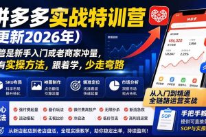 （20092期）拼多多实战特训营(更新26年0827)：不管是新手入门或老商家冲量，都有实操方法，跟着学，少走弯路