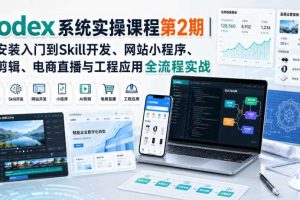 Codex系统实操课程第2期｜从安装入门到Skill开发、网站小程序、AI剪辑、电商直播与工程应用全流程实战