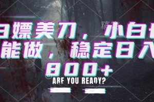 (20163期)白嫖美刀,小白也能做,稳定日入800+